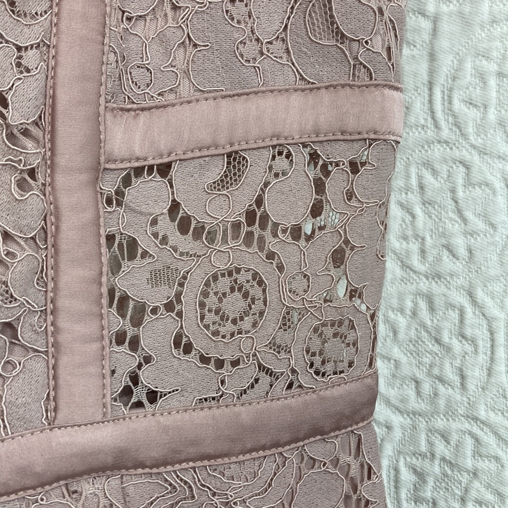 Express Women’s Lace Midi Dress in Blush Pink sz 8 NWT - Picture 5 of 13